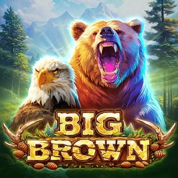 Big Brown Bear game icon